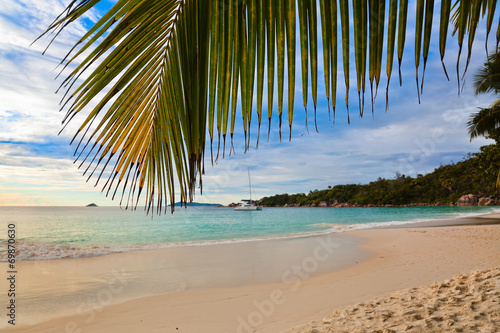Palm leaf and tropical beach © Nikolai Sorokin