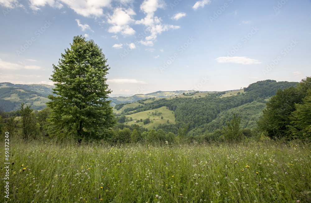 Fototapeta premium mountain landscape