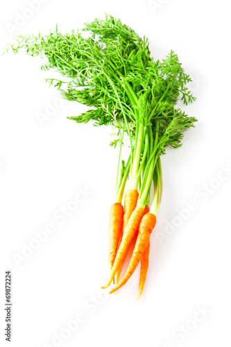 Bunch of fresh carrots on white background, vegetables photo