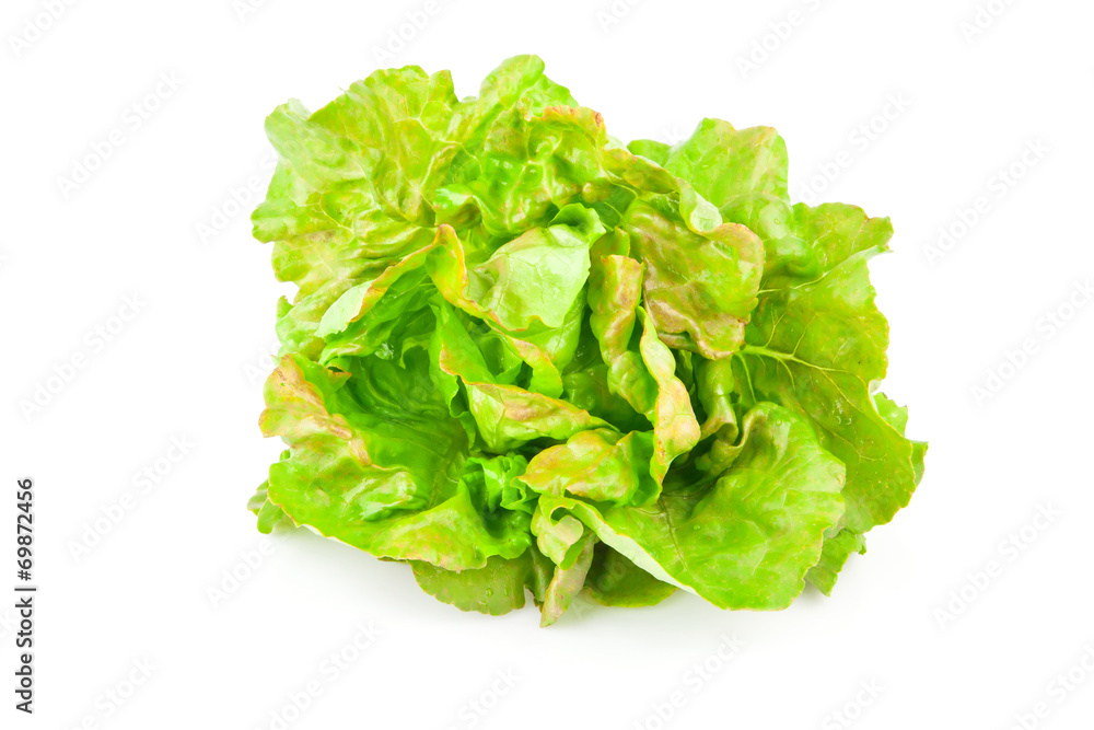 Green lettuce beam, food photo on white Green lettuce beam, food photo on white
