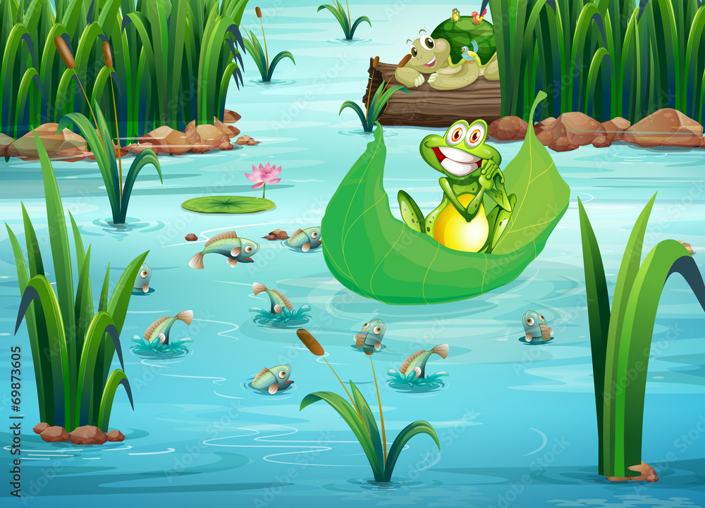Obraz premium A playful frog and a turtle at the pond