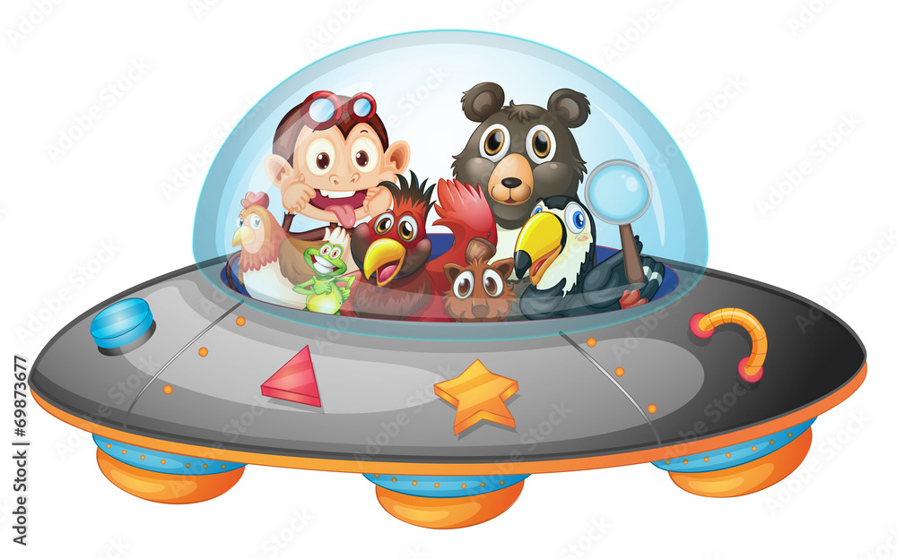 Fototapeta premium Playful animals inside the saucer