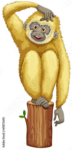 A yellow chimpanzee