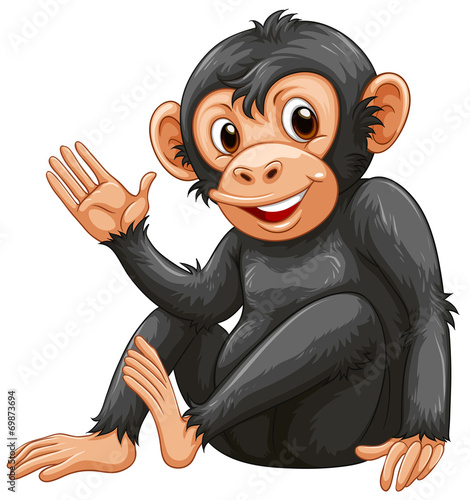 A chimpanzee