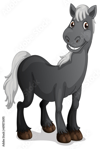 A smiling black horse