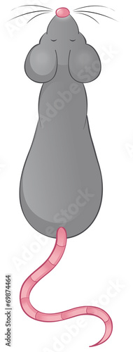 wartende Maus