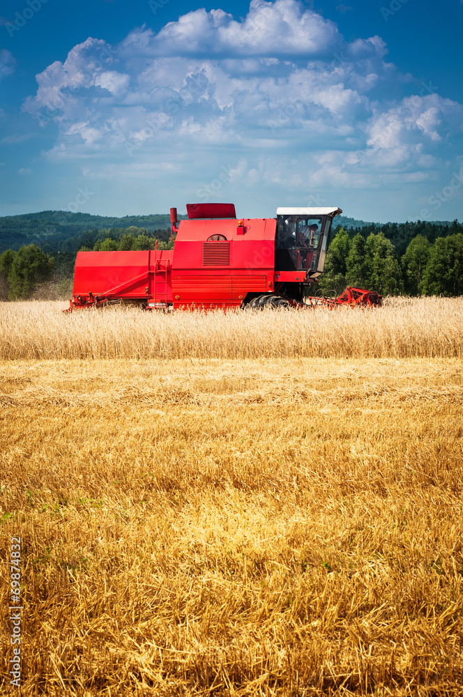 Fototapeta premium combine harvester