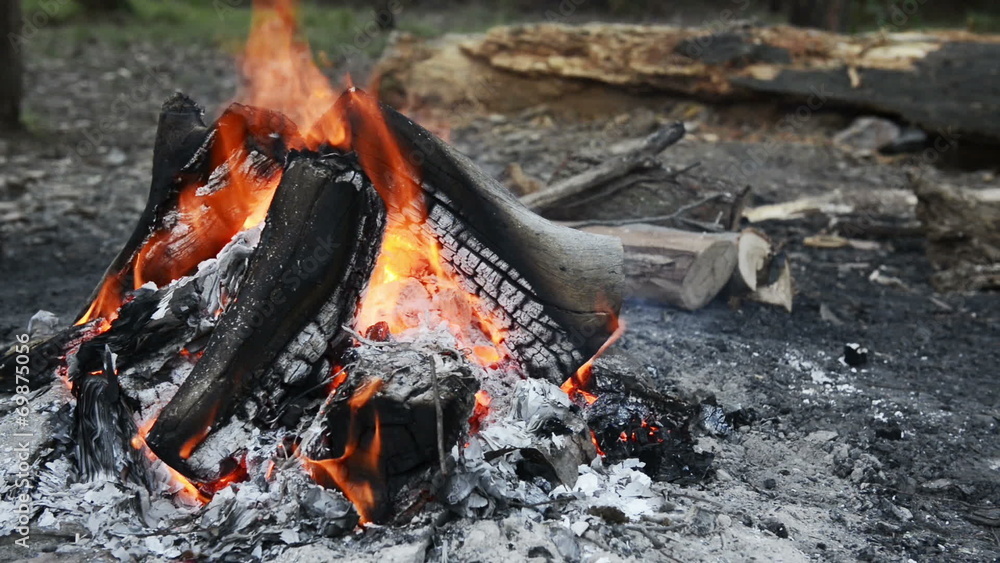 Campfire burning wood outdoors in nature with flames and smoke Campfire burning wood outdoors in nature with flames and smoke