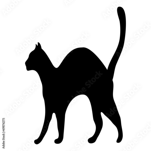 silhouette afraid cat