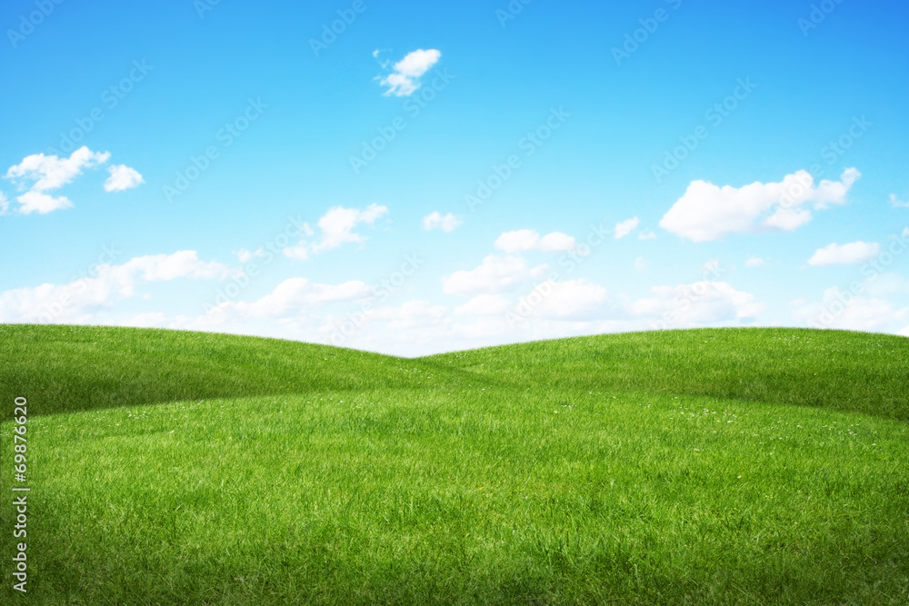 Obraz premium Green field and blue sky