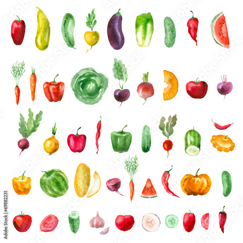 Vegetables. Vector format