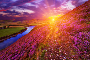 Fotobehang Zomer Schots natuurlandschap met ruige bergen  © -Marcus-