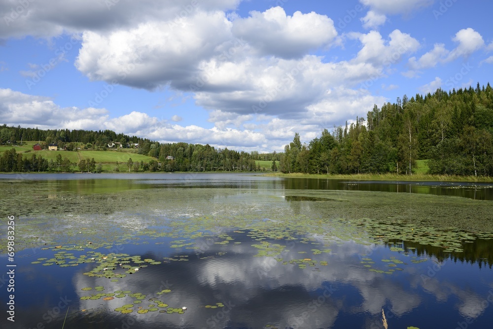 Swedish lakeside