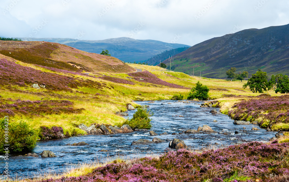 sunny day in the scottish highlands sunny day in the scottish highlands