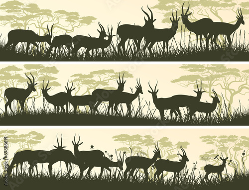 Horizontal banners of wild antelope in African savanna.