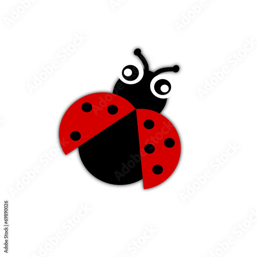 Coccinella