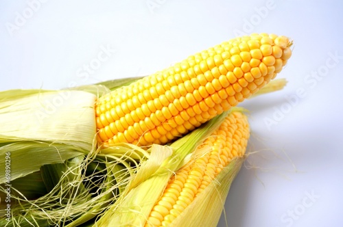 Delicious yellow summer corn on the cob photo