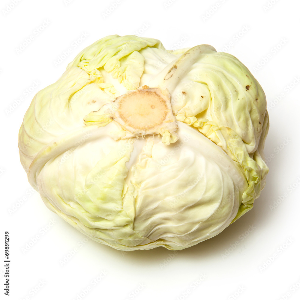 Japanese style flat white cabbage Japanese style flat white cabbage