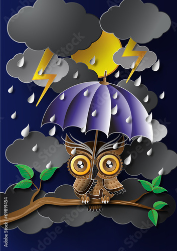 Owl holding an umbrella in the rain.