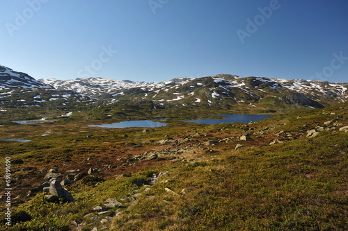 Plateau Hardangervidda, Norway