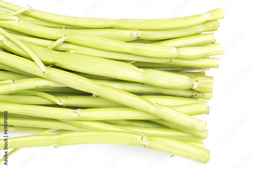 morning glory, vegetable, on white background morning glory, vegetable, on white background