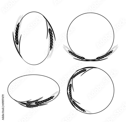 Frames with ears of wheat, barley or rye, vector illustration. C