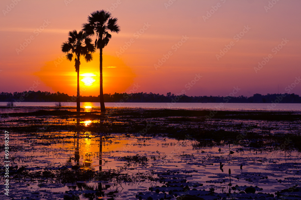 Silhouetted of Two palm  tree during sunset
