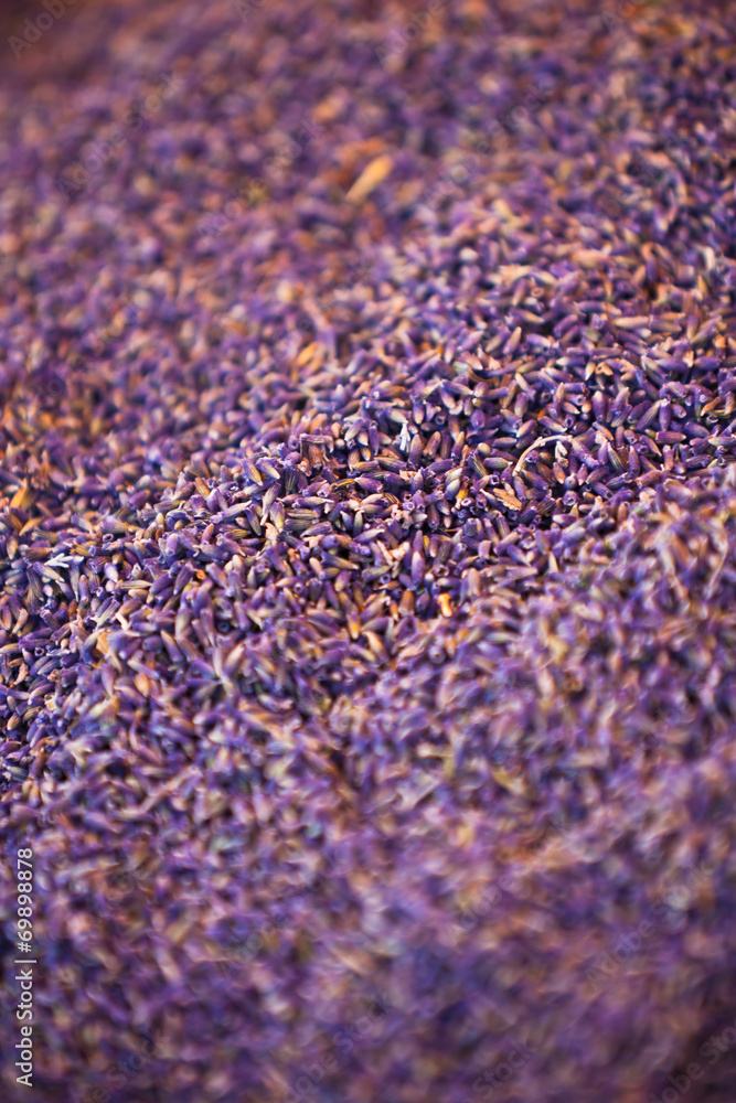 Dry lavender heap Dry lavender heap