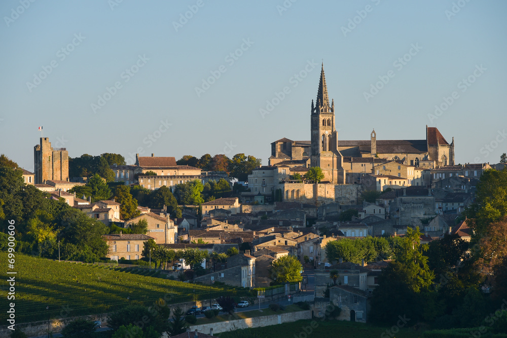 Saint-Emilion-Vineyard landscape-Vineyard south west of France,