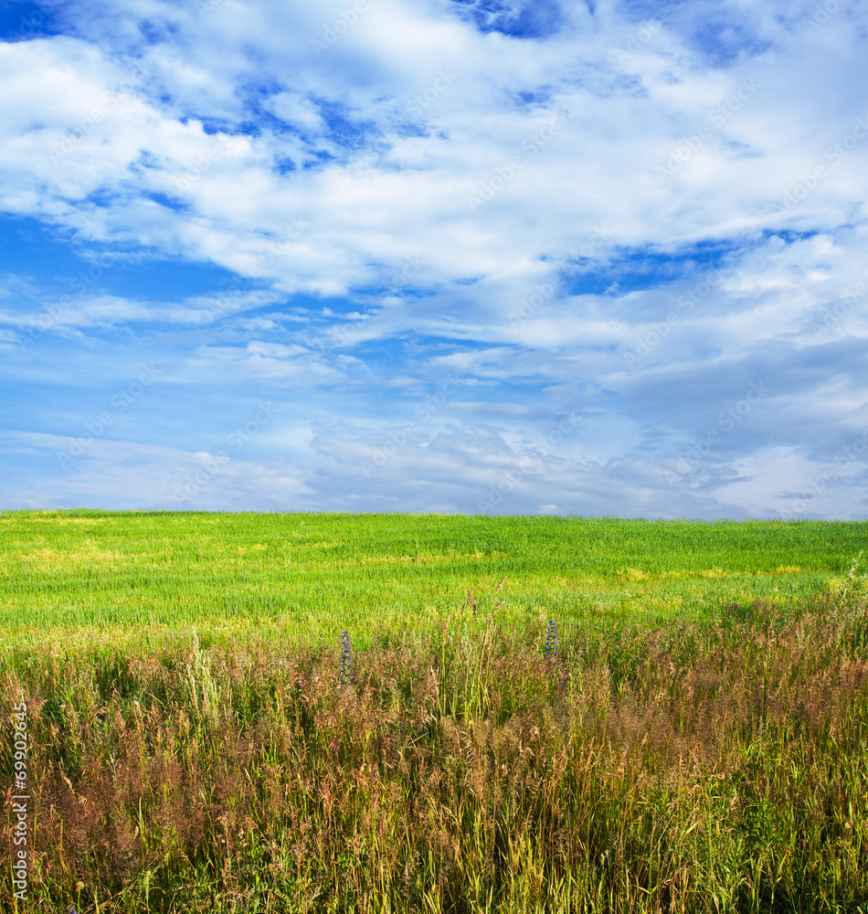 sky and fields