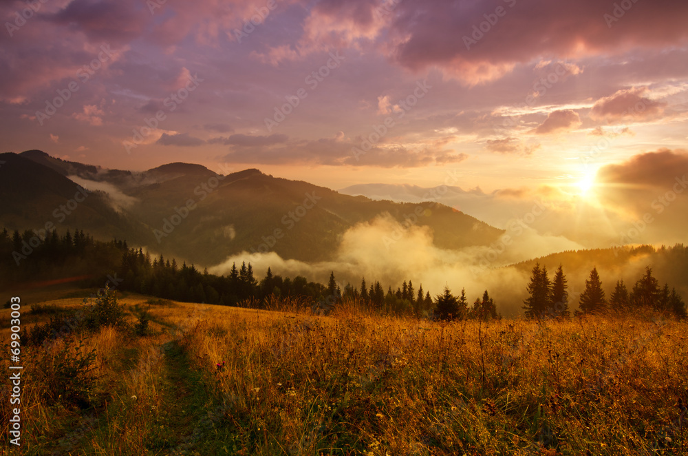 Foggy morning landscape Foggy morning landscape