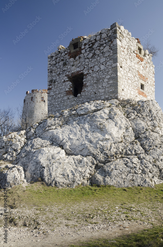 Ruin of medieval Devicky castle, Czech republic