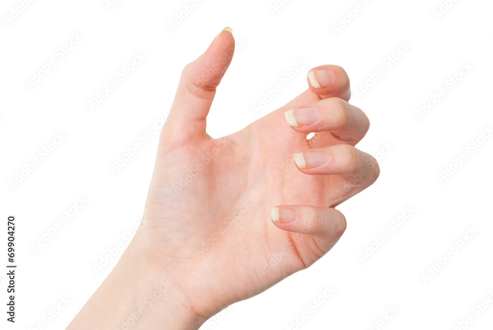 Female hand holding something with palm isolated on white Female hand holding something with palm isolated on white