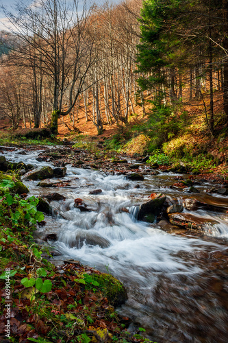 forest river with stones and moss