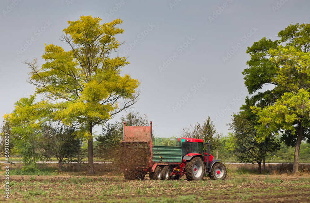 Fototapeta premium Fertilizing field