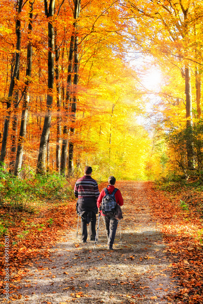 Gemeinsam wandern im Herbstwald