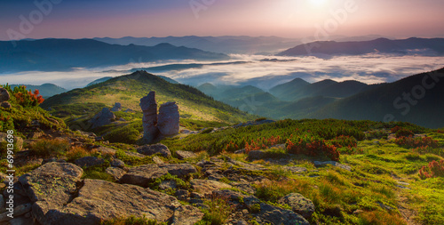 morning mountain plateau landscape (Carpathian, Ukraine)