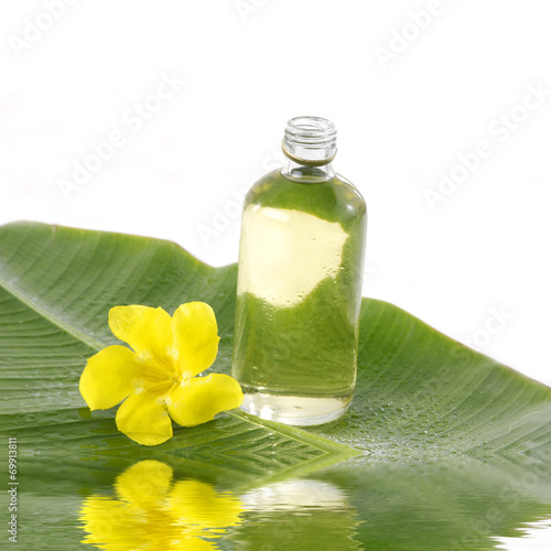 Reflection for orchid  oil and stones on banana leaf
