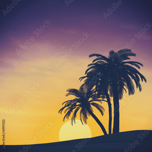 Tropical summer landscape with rising sun, abstract travel backg