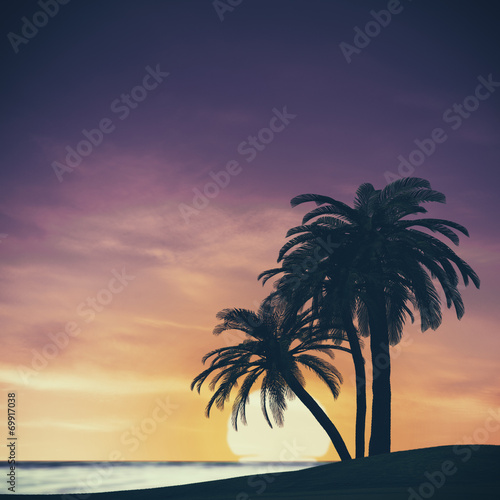 Tropical summer landscape with rising sun  abstract travel backg