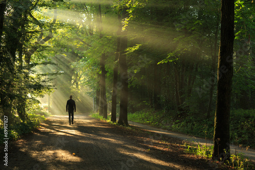 Man walking in a lane of trees and sun rays.