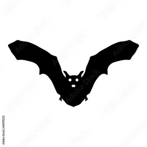 silhouette bat