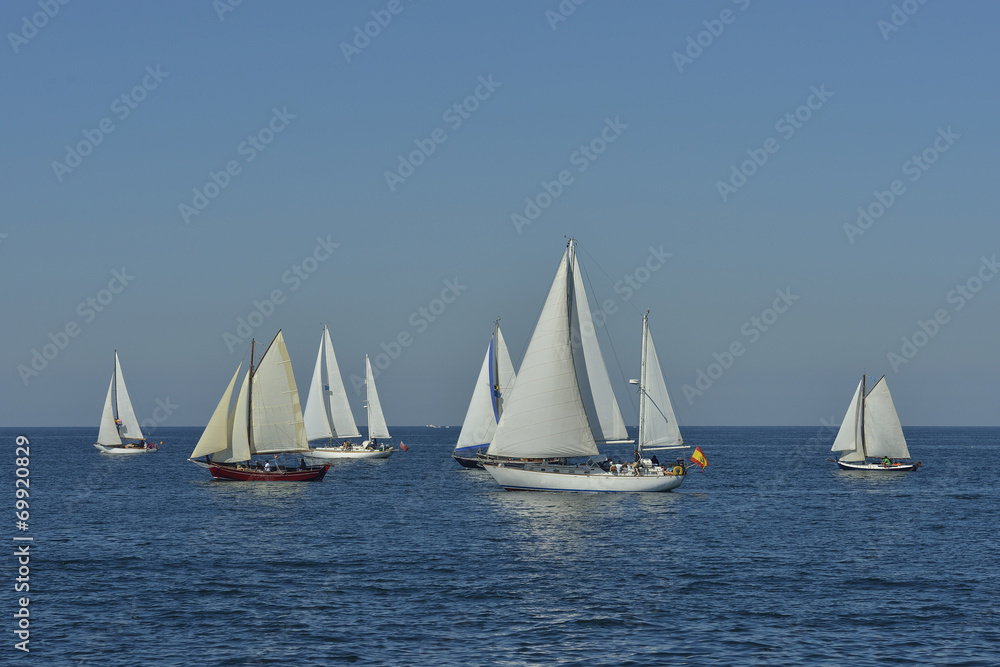 summer regatta of sailing boats