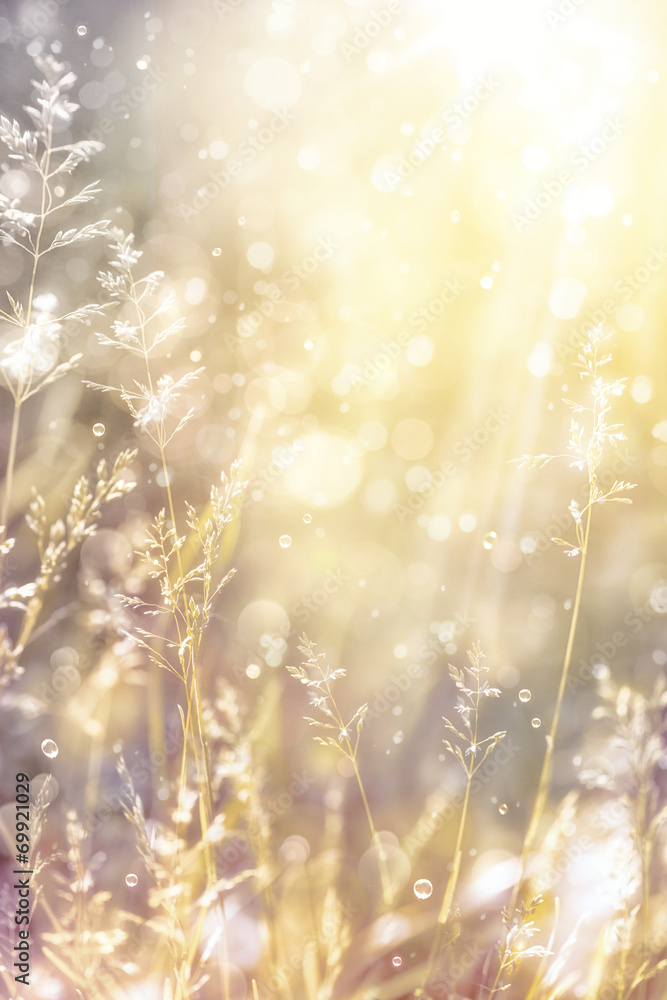 Naklejka premium Art autumn sunny nature background