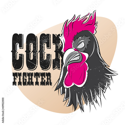 hahn böse aggressiv hahnenkampf