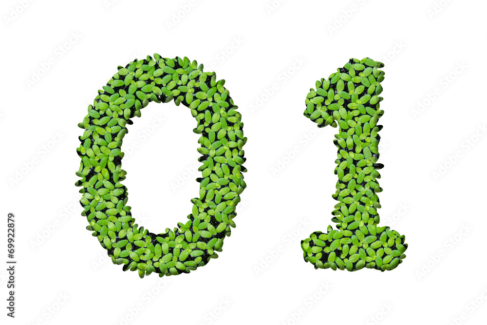 Duckweed alphabet letters - Number 0, 1 Duckweed alphabet letters - Number 0, 1