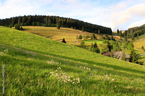 Black forest, Germany