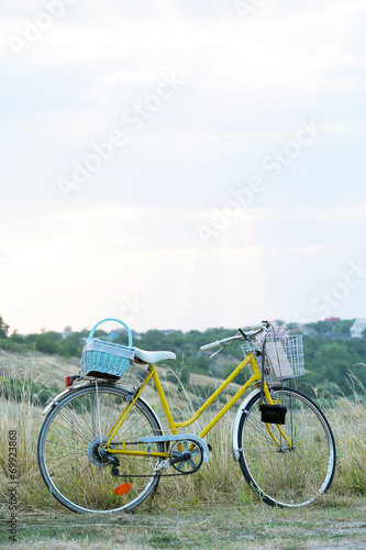 Bicycle in meadow during sunset