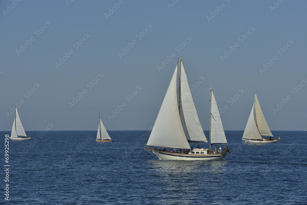 summer regatta of sailing boats