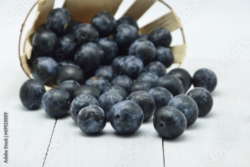 Wallpaper Mural black plums in white background Torontodigital.ca